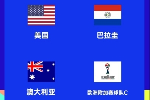 ESPN谈世界杯D组：土耳其最可能获得剩余名额，居莱尔PK普利西奇