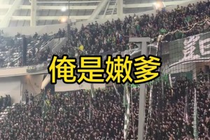 赛前互骂！国安球迷：北京国安是你ba！河南球迷：sb！